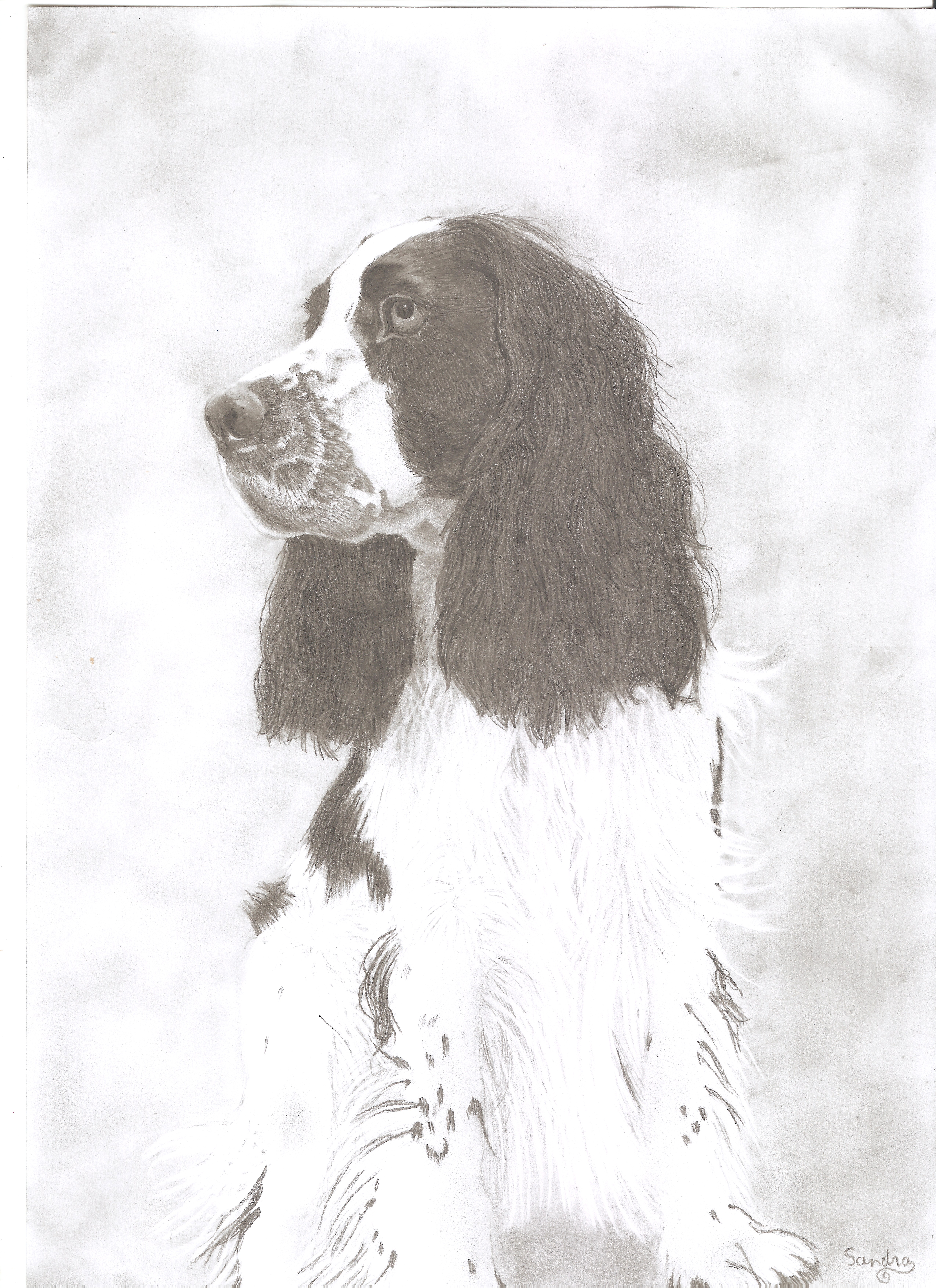 1er premio Sandra Fournon Barrado 