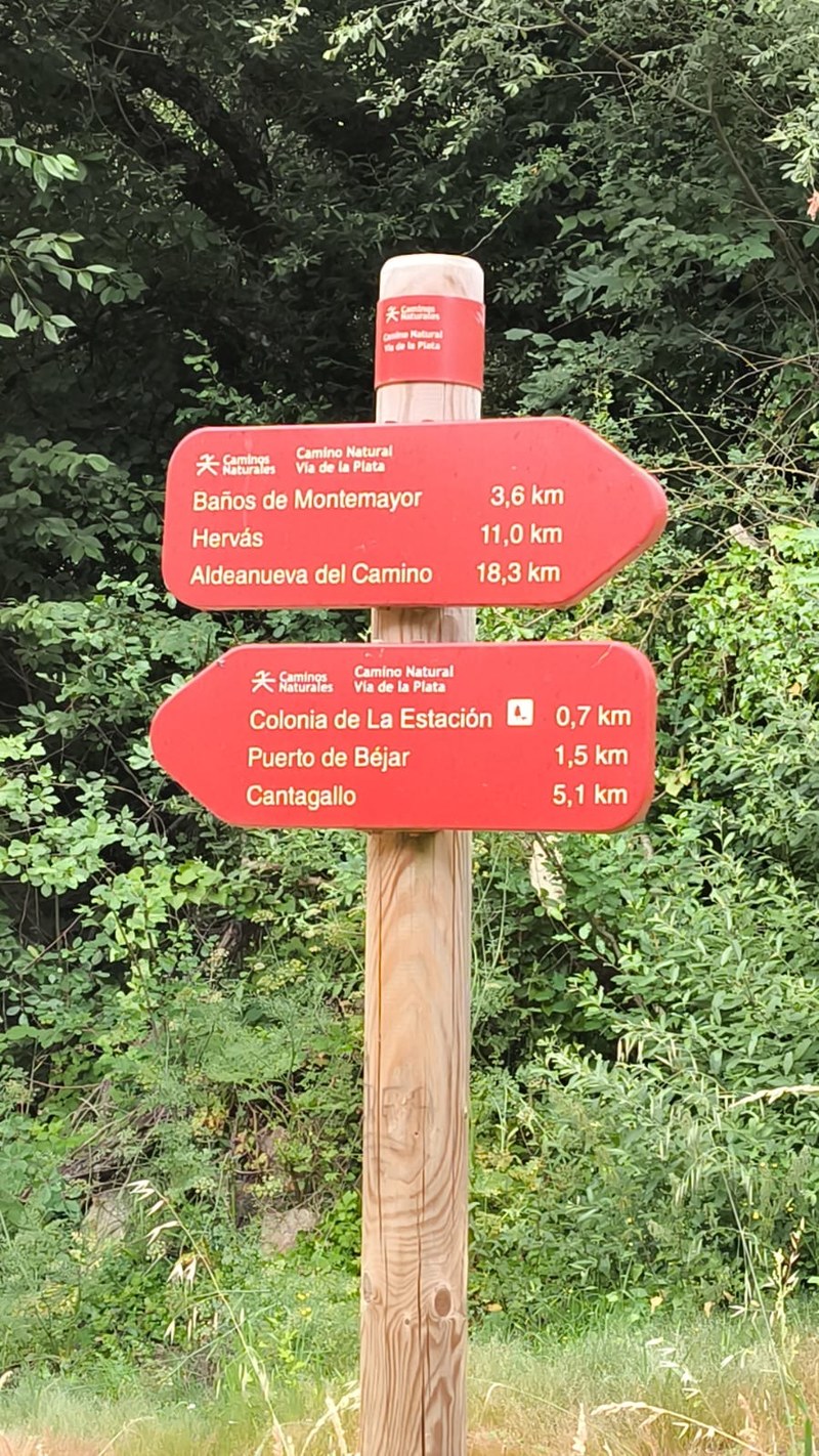 Palo ruta