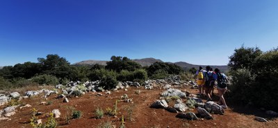 Grupo siendo guiado por un sendero para conocer los bosques y montañas Grupo siendo guiado por un sendero para conocer los bosques y montañas