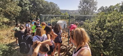 Grupo viendo las gallinas Grupo viendo las gallinas