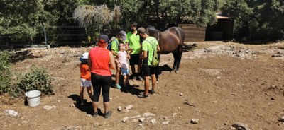 Monitores acompañando a un chico a que acaricie a un caballo Monitores acompañando a un chico a que acaricie a un caballo