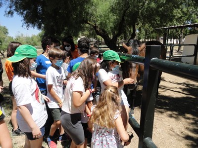 Un grupo de niños acaricia a un caballo Un grupo de niños acaricia a un caballo