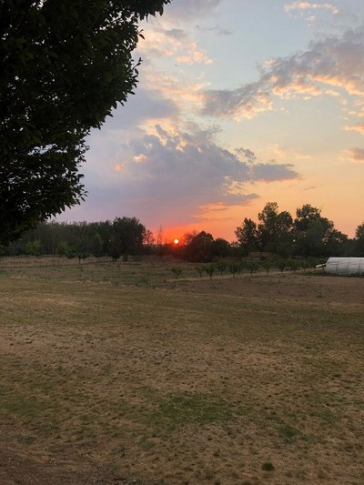 Vista del campo al atardecer Vista del campo al atardecer