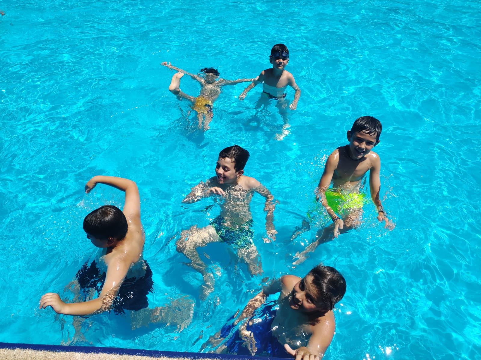 Un grupo de participantes jugando en la piscina