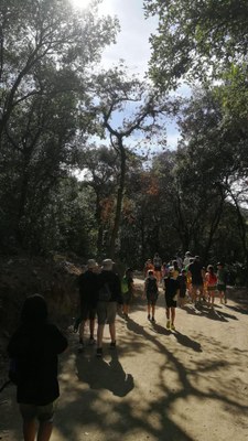 El grupo camina por una senda entre los árboles