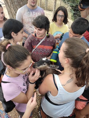 Varios participantes alrededor de una cabra