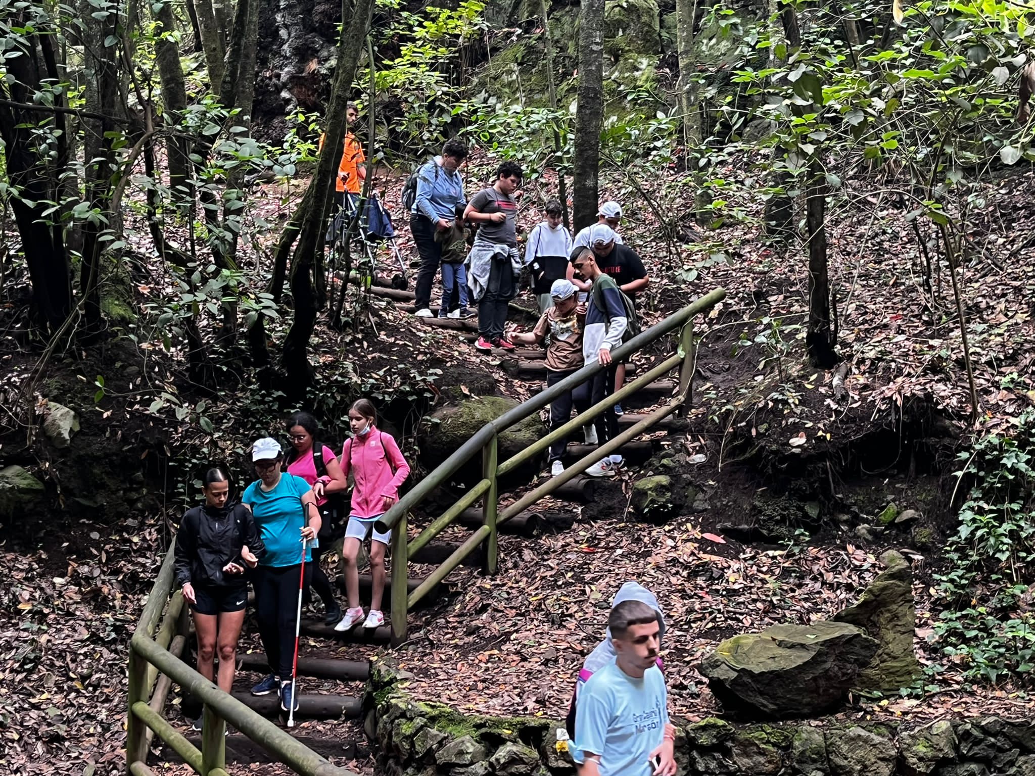 Parte del grupo baja unas escaleras de madera durante la ruta "Los Guardianes centenarios"