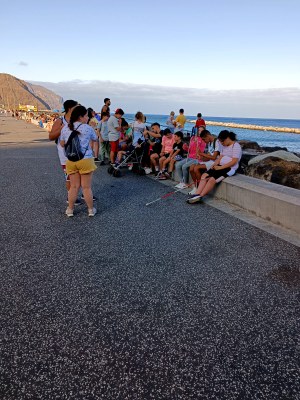 Todos los participantes sentados en el paseo marítimo