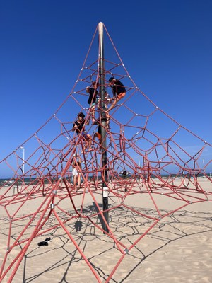 Varios participantes escalando sobre unas cuerdas