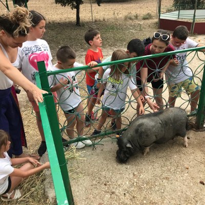 Dos participantes acariciando a un cerdito