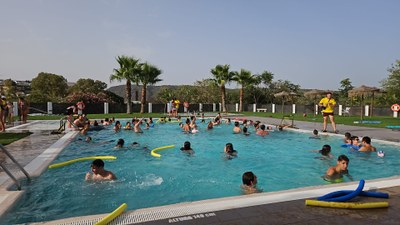 Todos los participantes en la piscina