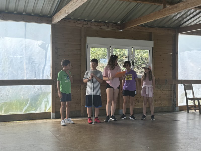 Grupo de participantes exponiendo las características de su país.