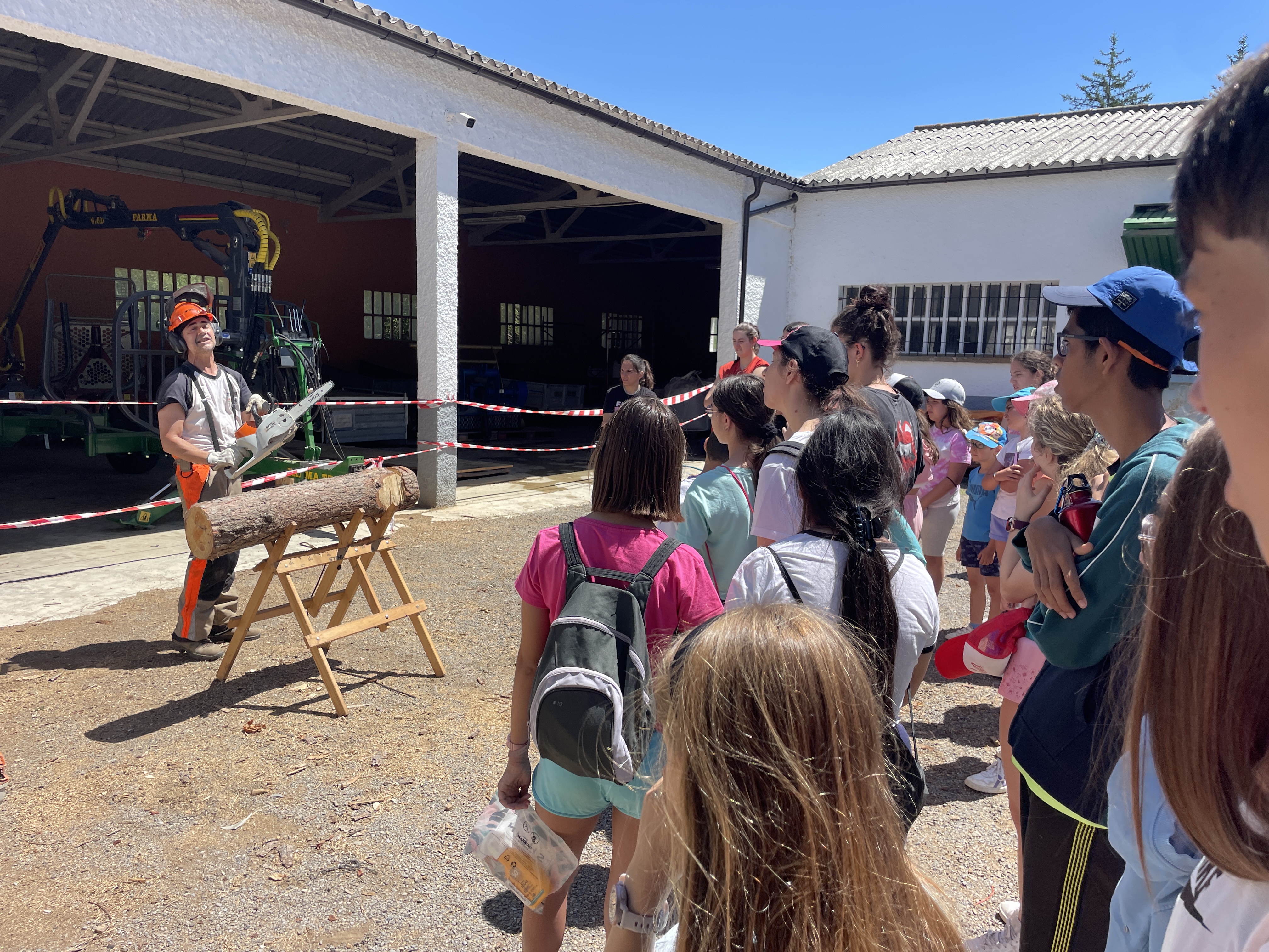 Participantes disfrutando de la exhibición de corte con motosierra