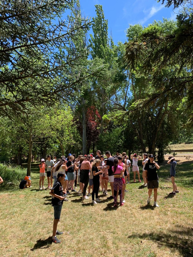 Participantes resolviendo las pruebas de una actividad en el pinar