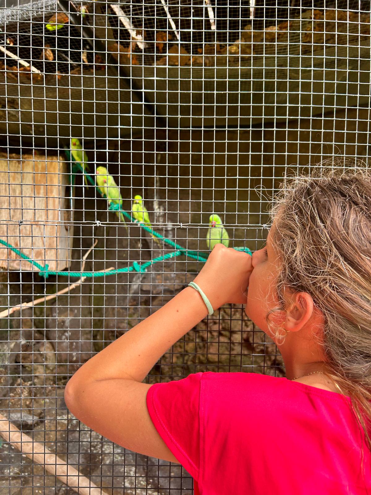 Participante observando los pájaros de la visita a Maroparque.