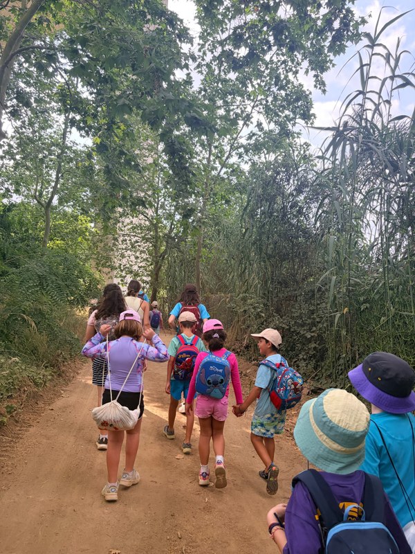De excursión campestre